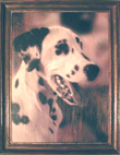 Coloured photograph on canvas in the authorīs frame, 40 x 30 cm